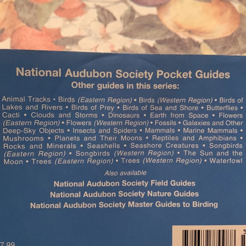 National Audobon Society Pocket Guide Constellations stargazing galaxy book kids